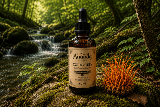 Cordyceps x 60 Ml