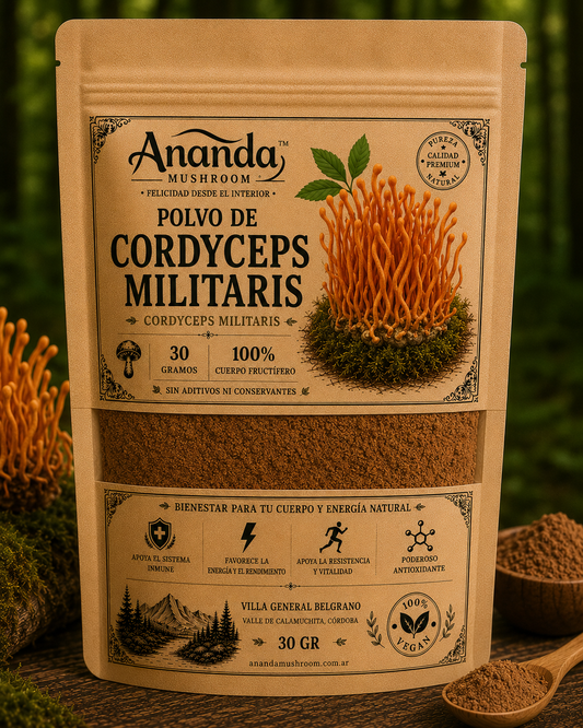Cordyceps en polvo