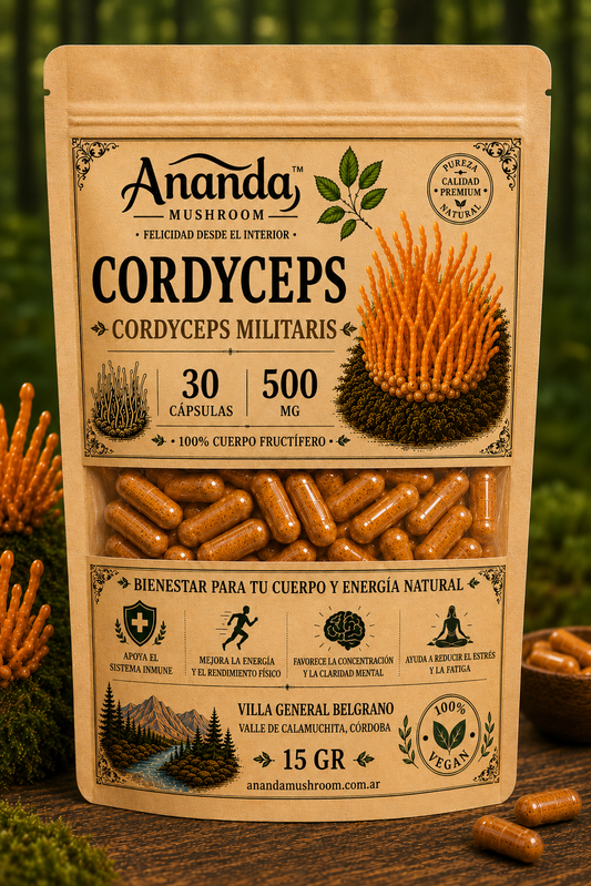 Cordyceps en capsulas