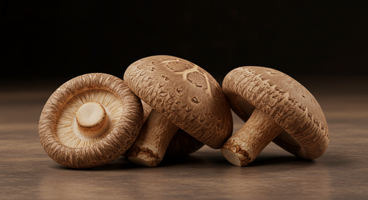 Shitake