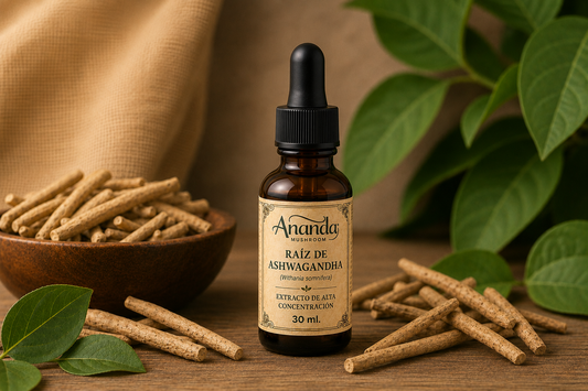 Ashwagandha x 60 Ml