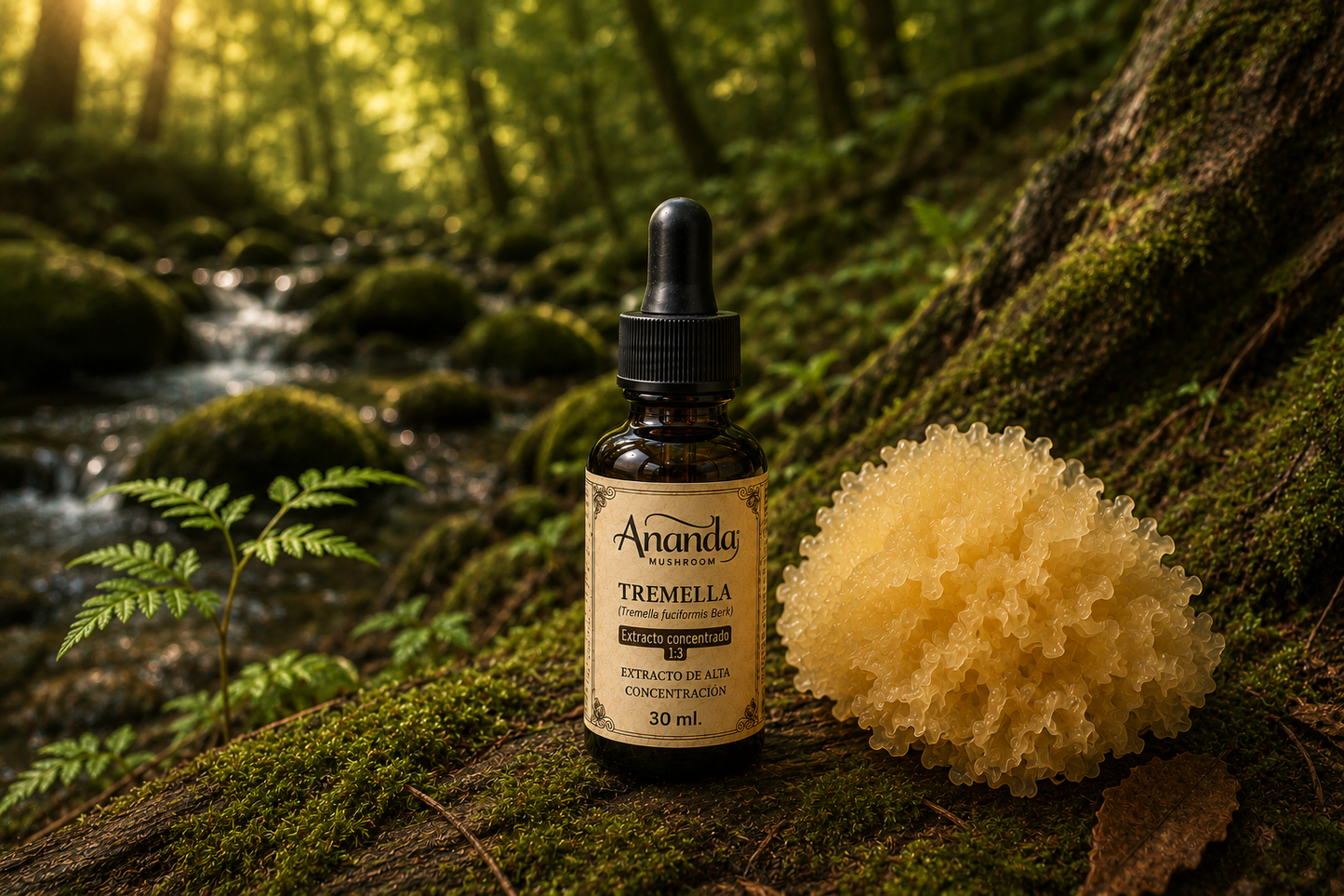 Tremella  x 30 Ml